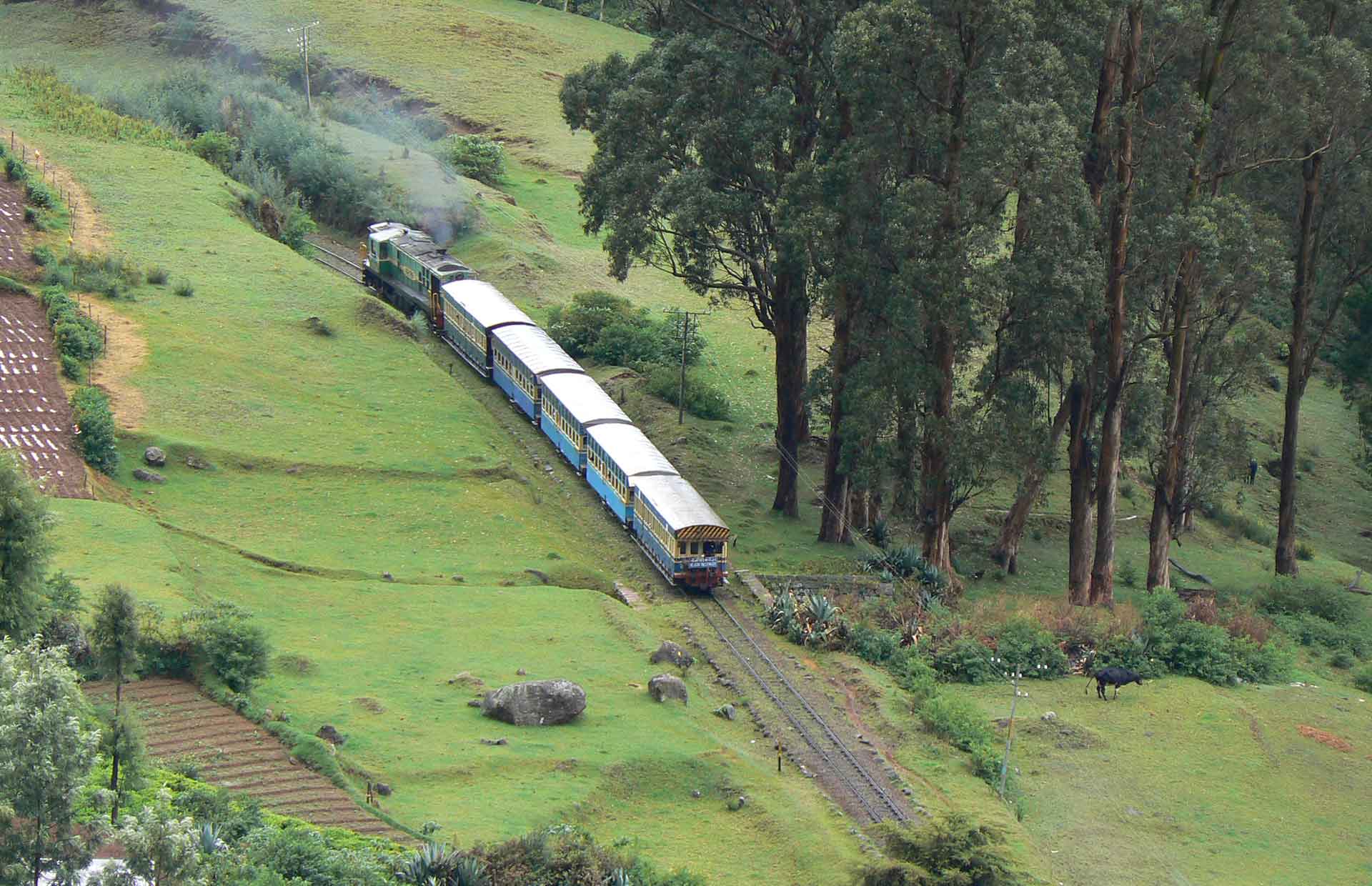 ooty tour package 2 days