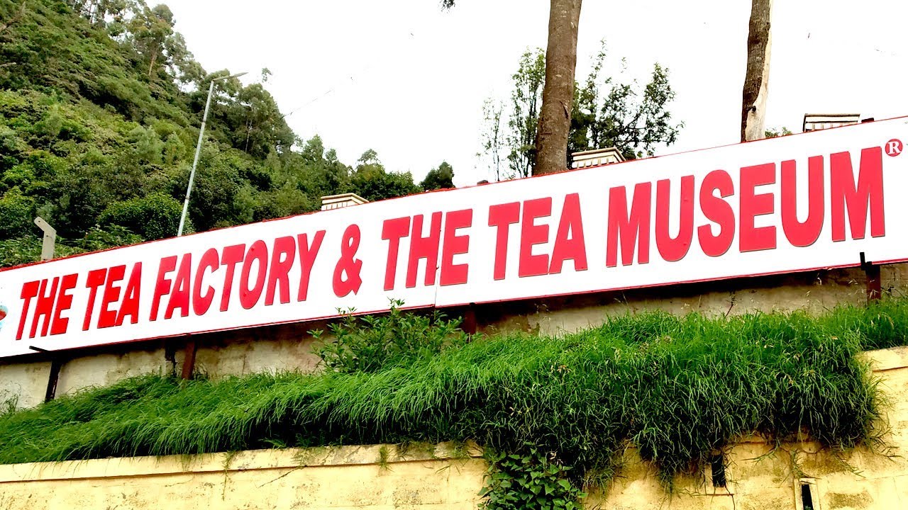 tea-estate-in-ooty-nilgiris-for-sale